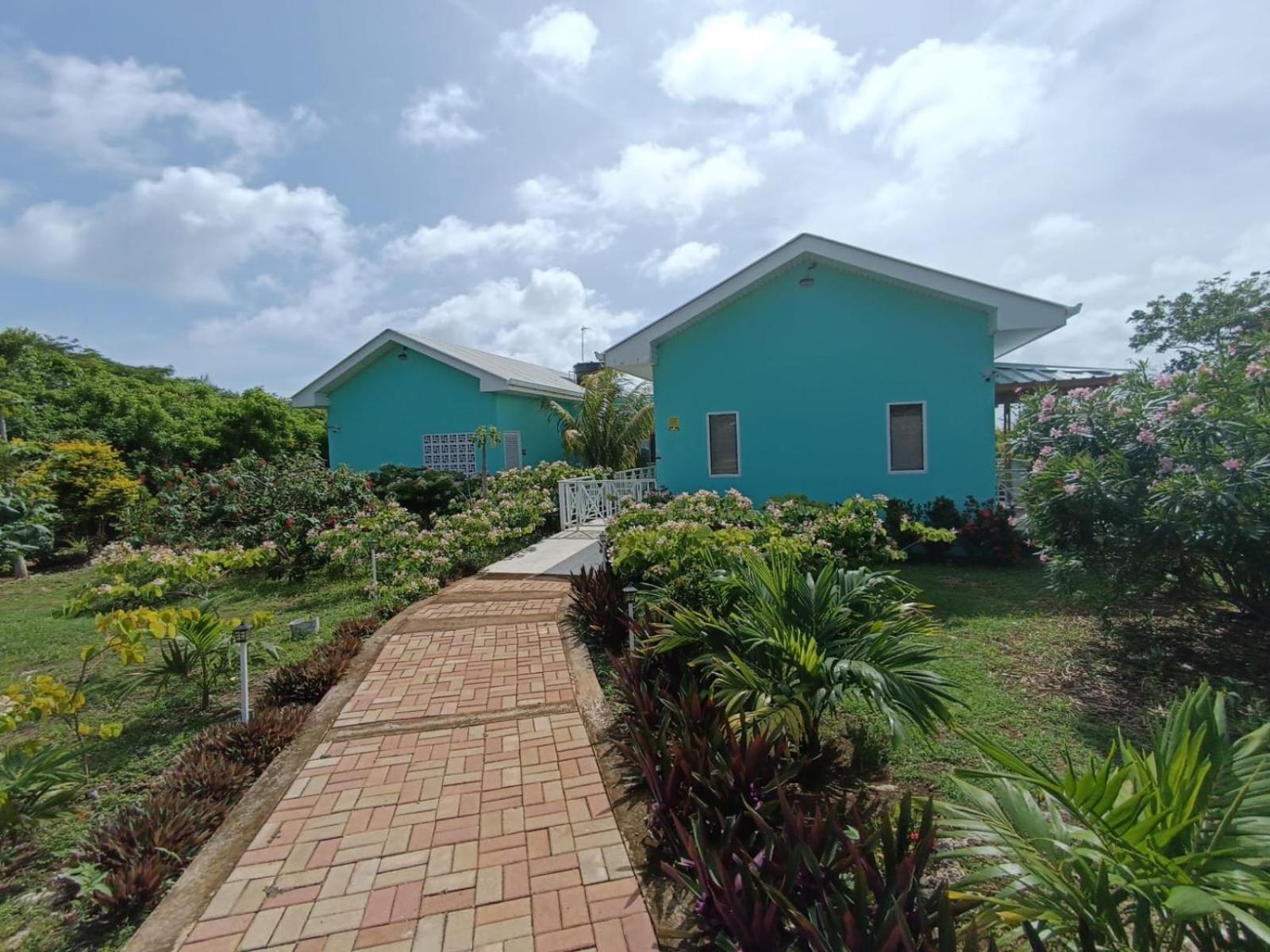Blue Lizard House Villa San Andrés Kültér fotó