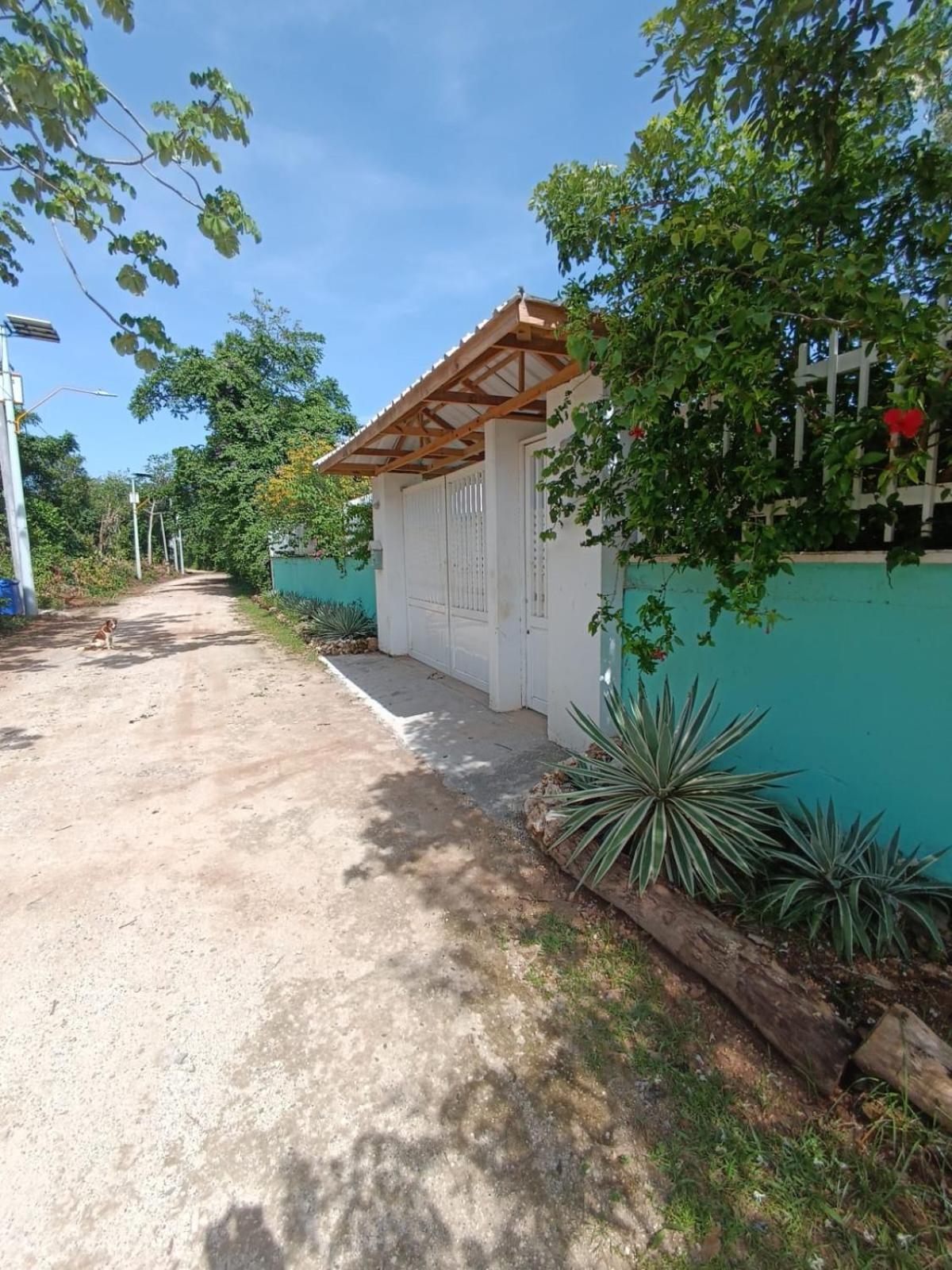 Blue Lizard House Villa San Andrés Kültér fotó