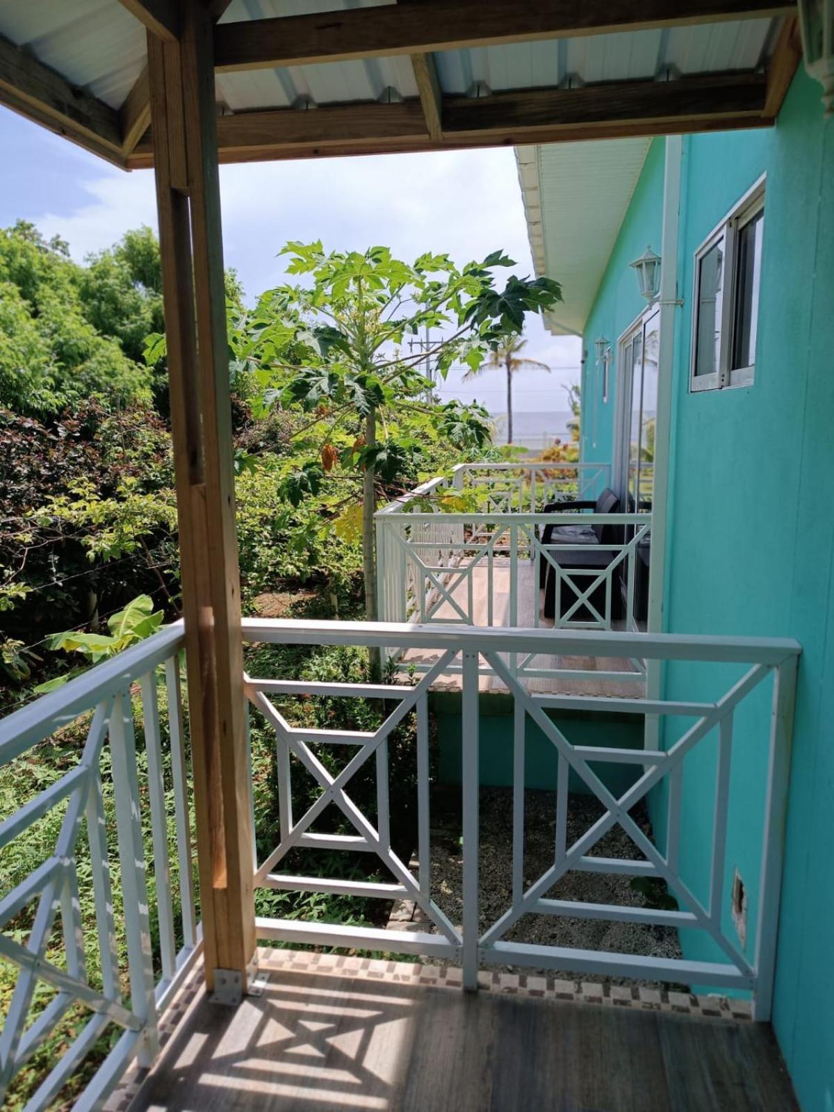 Blue Lizard House Villa San Andrés Kültér fotó