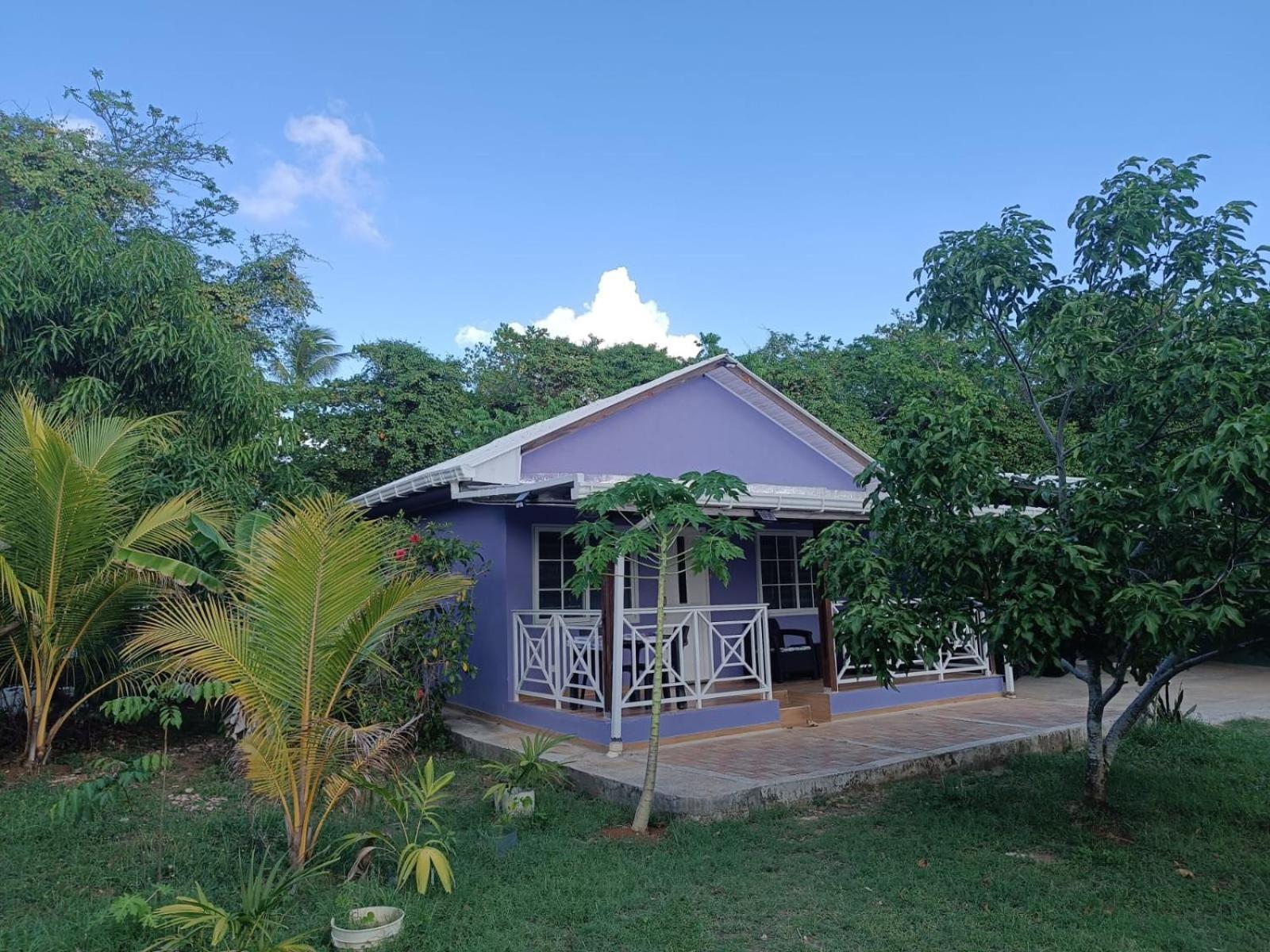 Blue Lizard House Villa San Andrés Kültér fotó